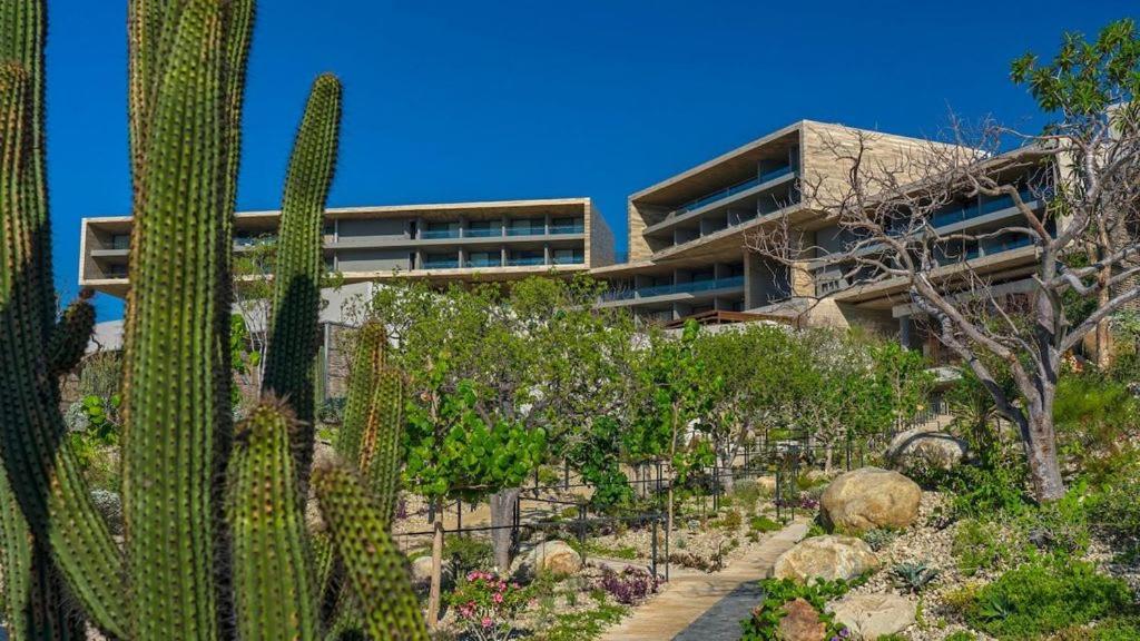 2Bd Oceanfront Presidential Suite Solaz Cabo San José del Cabo Exterior photo